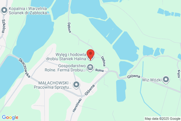 Porebska Renata. Sprzedaz mlodych kur
