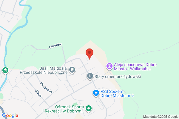Firma Ramis Strzalkowski T.