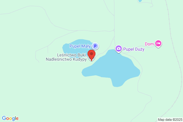 Lesnictwo Buki. Nadlesnictwo Kudypy