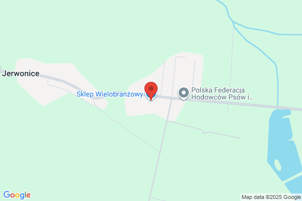 1001 Drobiazgów. Sklep wielobranzowy. Krajewski J.