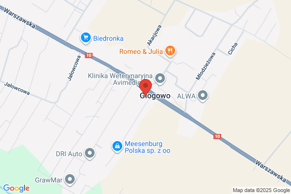 Fasterm. Majkowska G.