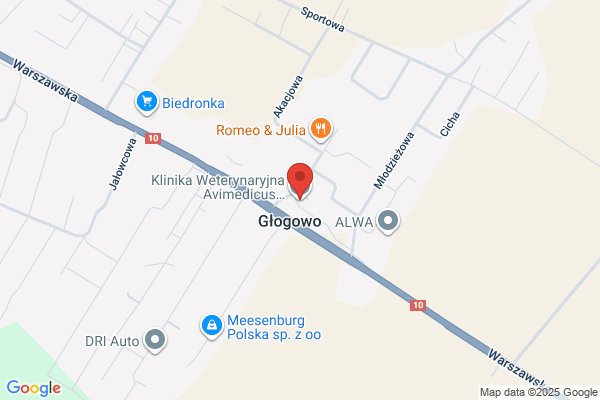 Klinika Weterynaryjna Toruń