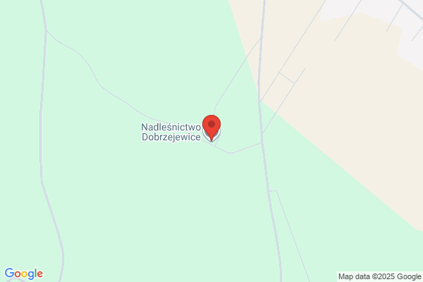 Nadlesnictwo Dobrzejewice