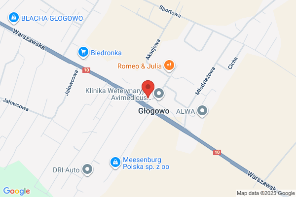 Olszewski Z., Chojnacki J. Stacja paliw