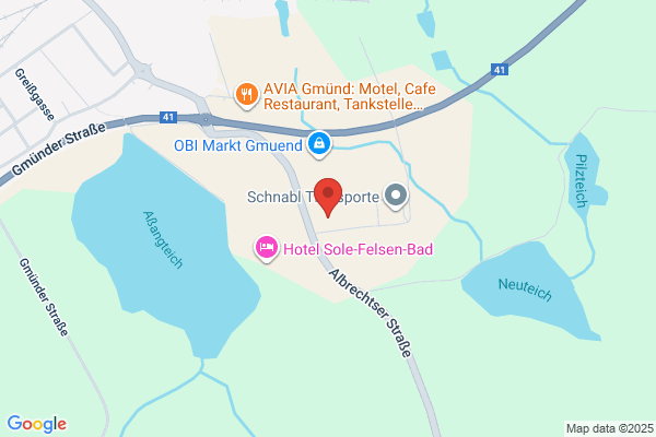 Róza Wiatrów. Mo