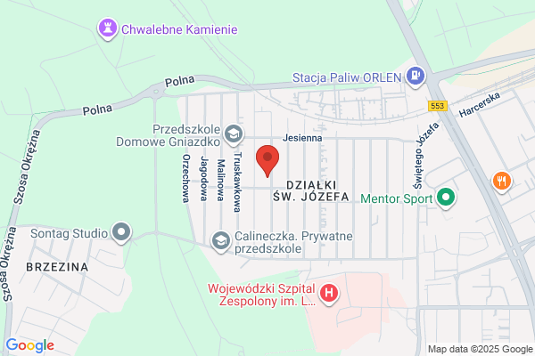 Wieslas. Nasiona drzew i krzewów, sadzonki