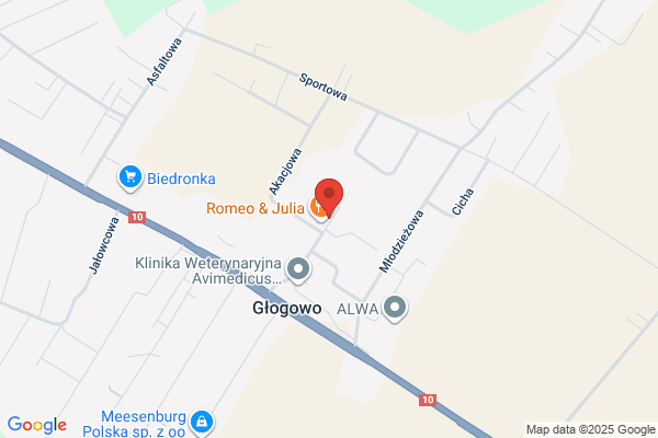 Wójcik Dariusz. Drewno, art. drzewne