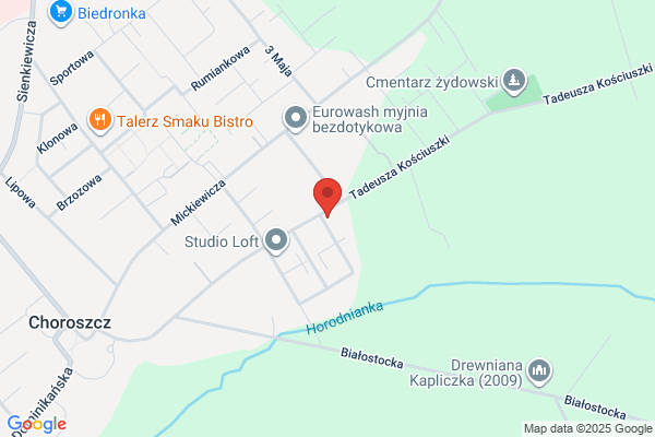 Dabrowski Lech. Zagospodarowanie terenów zielonych