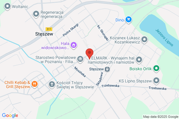 Kaktusik. Kwiaciarnia. Wirth B.