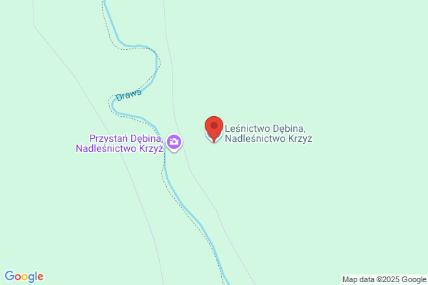 Lesnictwo Debina. Nadlesnictwo Krzyz