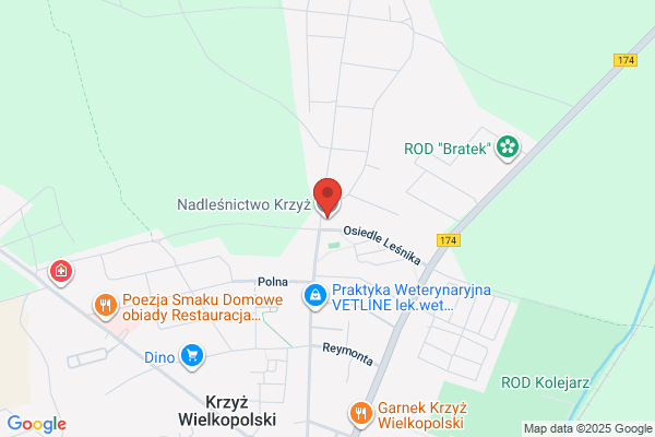 Lesnictwo Rzeczyn. Nadlesnictwo Krzyz