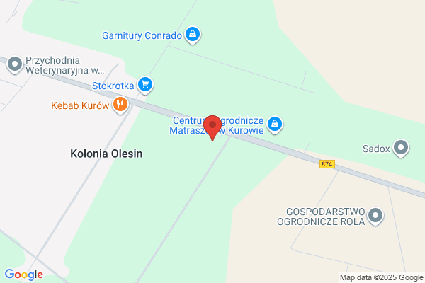 AUTO-GUM. Wynajem autokarów, uslugi przewozowe, serwis opon