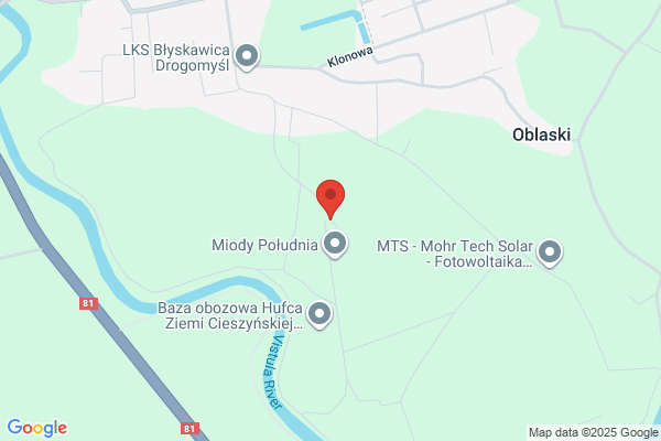 Cyganek Wanda. Ubezpieczenia