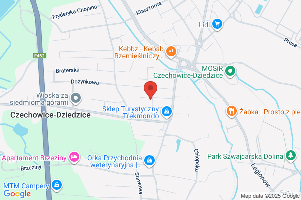 Procner Izabela. Nauka jezyków obcych