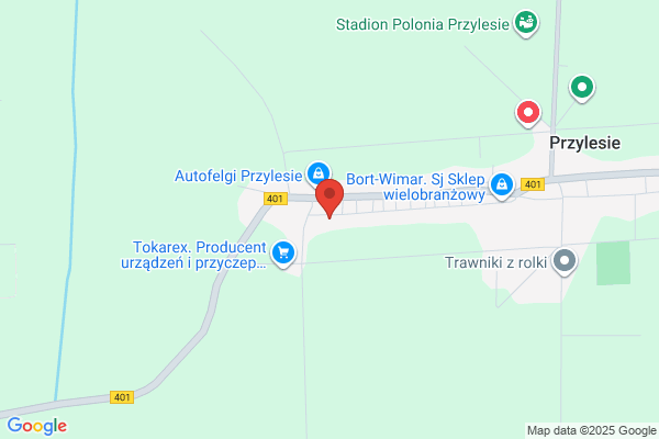 Strygner K. Projekty elektryczne i pneumatyczne