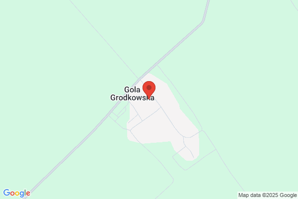 U Grünkrauta. Sklep miesno - wedliniarski