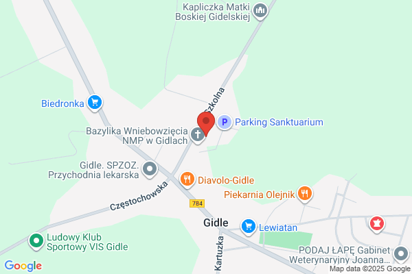 Zgromadzenie zakonne Ojców Dominikanów
