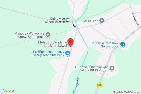 Budrog. Sp. z o.o. Budowa dróg, ukladanie kostki brukowej