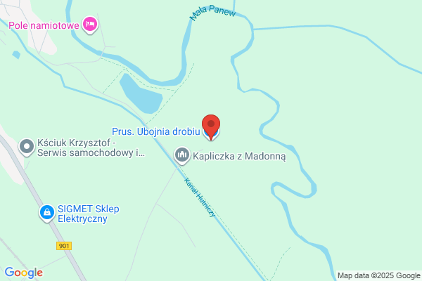 Agencja Prus