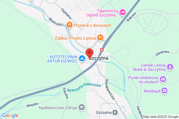 Aster. Kwiaty, obuwie, odziez. Kostyrko J.