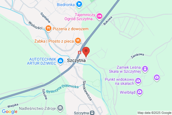 Fortum DZT SA