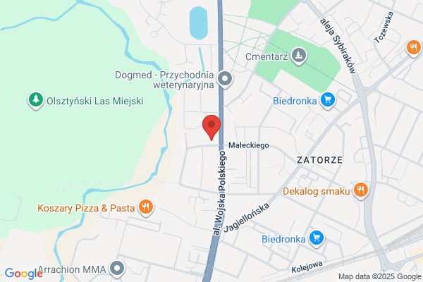 Zasadnicza Szkola Zawodowa Zespolu Szkól Samochodowych