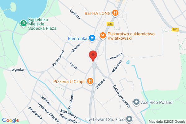 Aga. Posrednictwo uslugowo - finansowe. Czermak A.