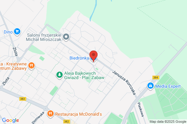 Biedronka. Dyskont spozywczy