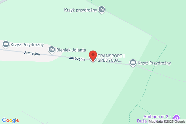 Adamczyk Zbigniew. Uslugi transportowe