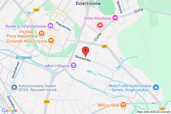 Zaklad Opiekunczo - Leczniczy Zgromadzenia Sióstr sw. Elzbiety