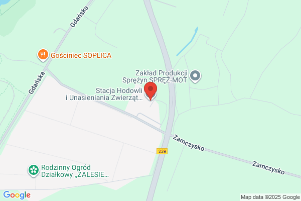 Kojscarz K. Punkt unasienniania zwierzat