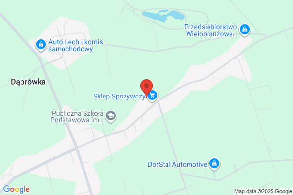 Twardowski Tadeusz. Specjalistyczne uslugi budowlane