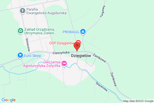 Wrózka Nemezys