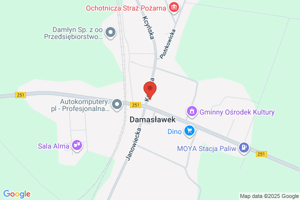 Dama. Sklep spozywczy. Faledysz S.