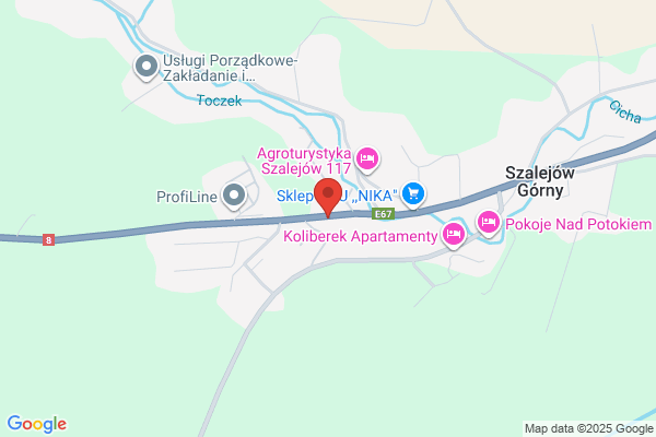 Serwis aparatury paliwowej silników Diesla