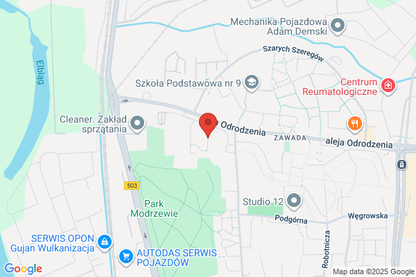 Laba Elzbieta. Przewozy autobusowe