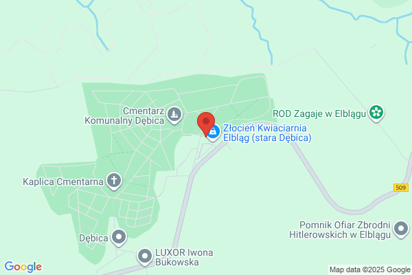 Paprotka. Kwiaciarnia. Ziólkowska K.