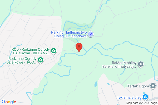 Lesnictwo Dabrowa