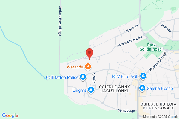 Specjalny Osrodek Szkolno - Wychowawczy nr 2