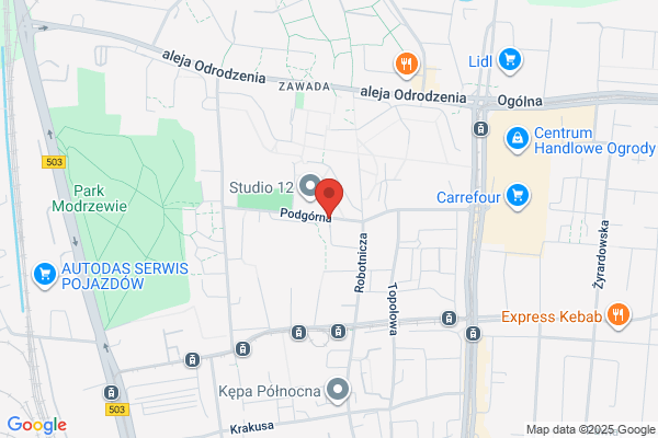 Skrobotyn Zenon. Parking strzezony