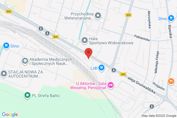 Dik. Automyjnia reczna
