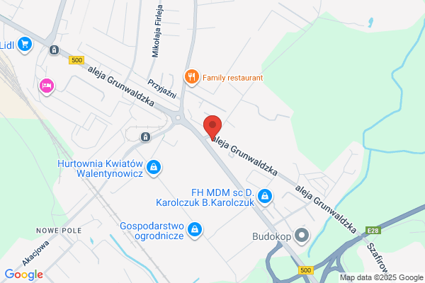 Czernichowski Andrzej, lek. wet. Lecznica dla zwierzat