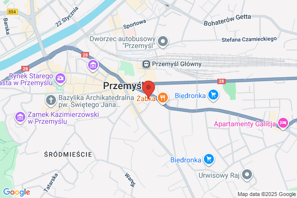 Ldoris. Szkolenie kierowców. Nerkowska D.