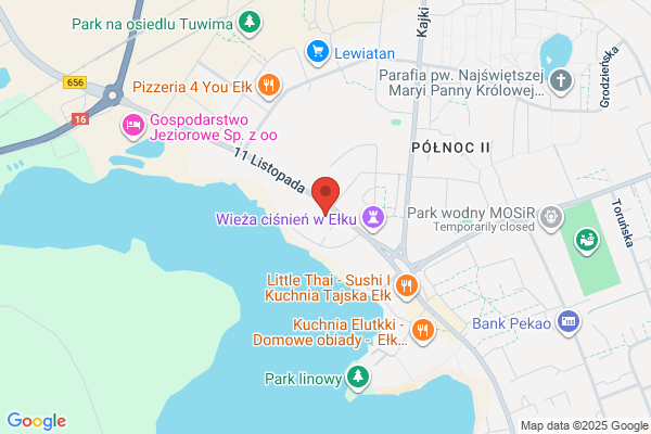 Elmed SC. Lewczuk D., Ciebla I., Witkowski J.
