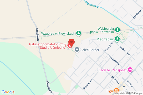 Miezejewska Agnieszka. Salon odnowy biologicznej