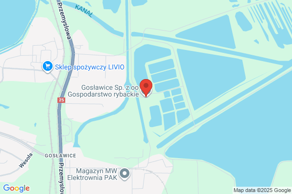 Gospodarstwo rybackie. Sp. z o.o. Hodowla i przetwórstwo ryb slodkowodnych