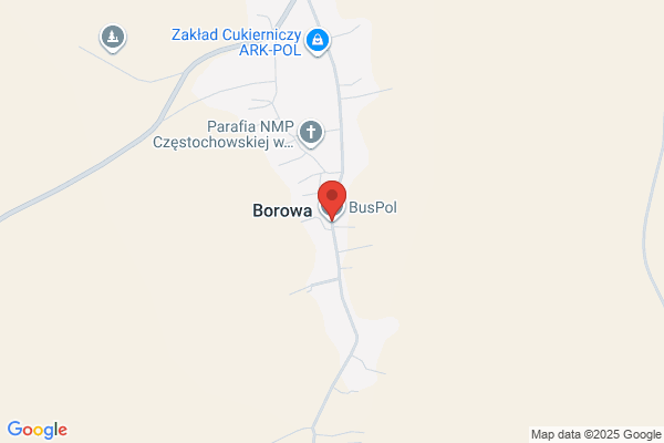 Bus-Pol. Firma transportowa. Szymanski P.