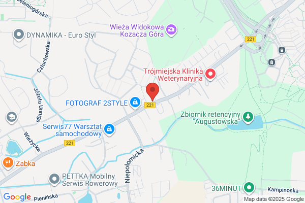Kopec Zbigniew. Konserwacja i serwis akumulatorów. Pojazdy elektryczne