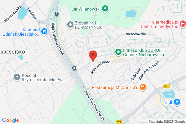 Salamon Teofila, mgr inz. Pracownia architektoniczna