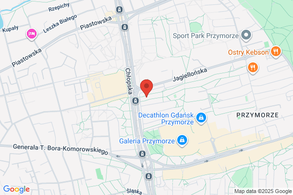 Wybraniec Kazimierz. Uslugi RTV